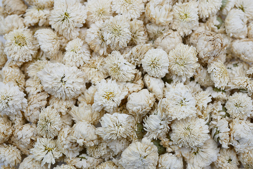 Camomille matricaire fleurs bio 25 gr - L'Herbier de France